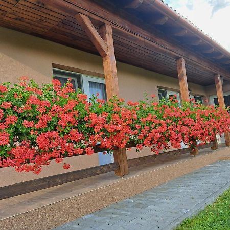 Vila Lavender Sovata Exteriér fotografie